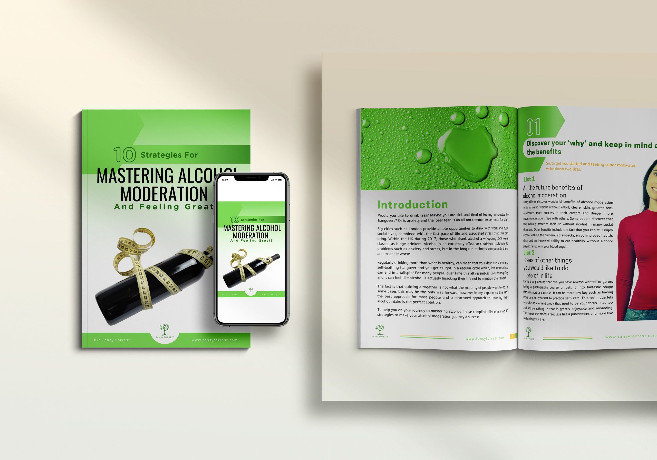 3D Cover of Alcohol Moderation PDF